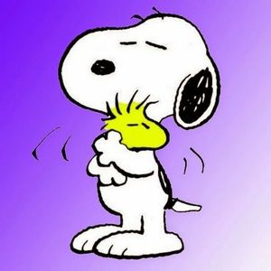 Meet your Posher, Toni